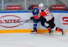 Всероссийская хоккейная лига: история и современное развитие